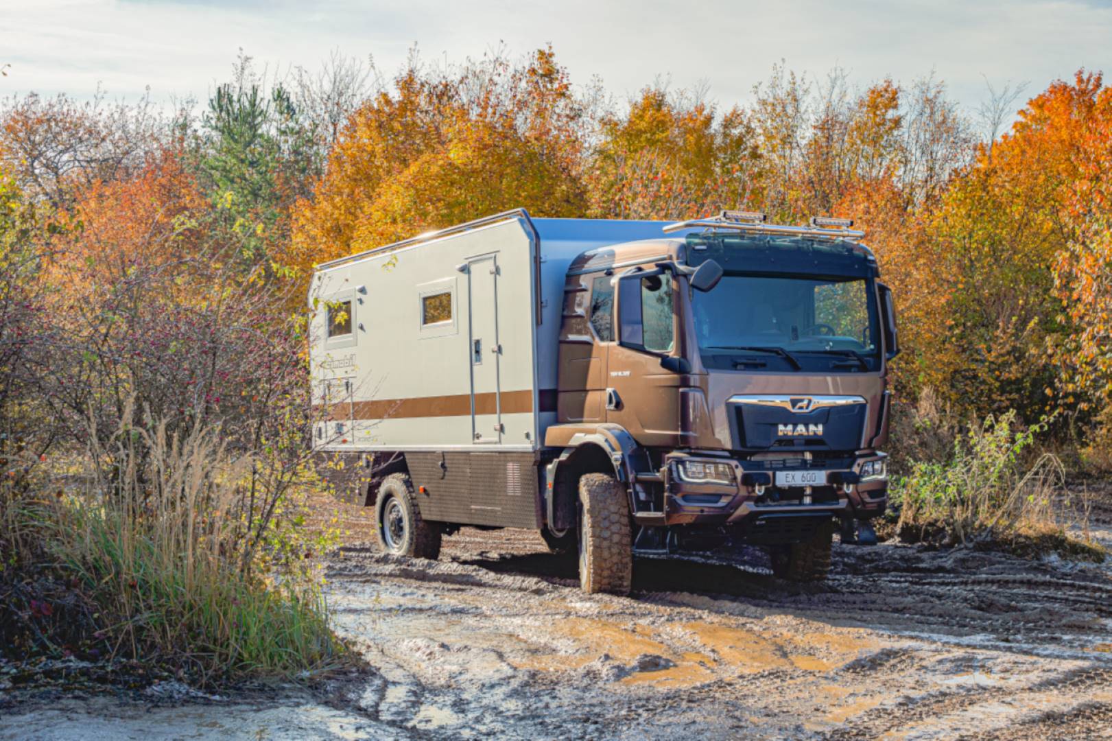 bimobil von Liebe EX 600