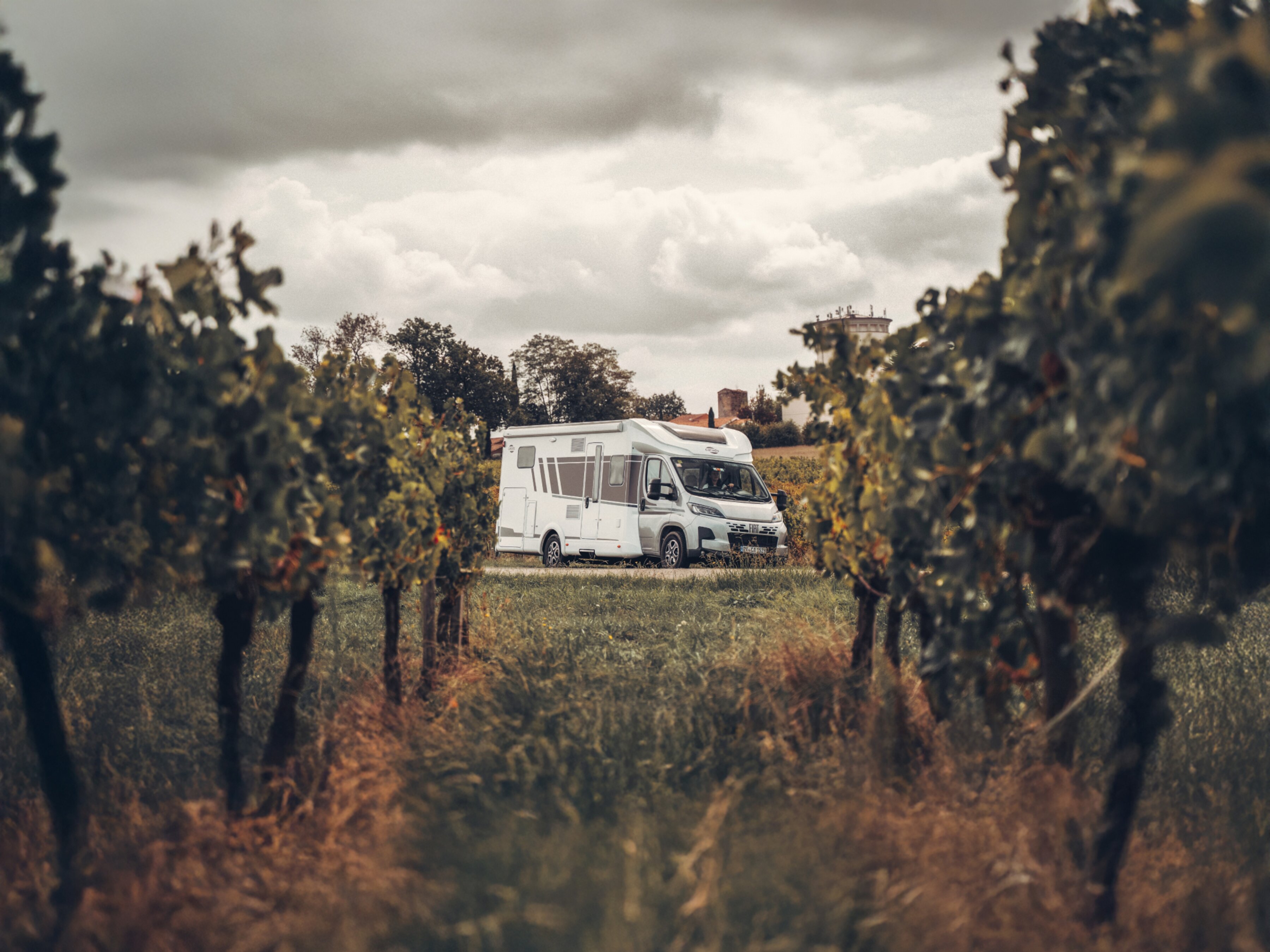 Carado T (Teilintegriert)